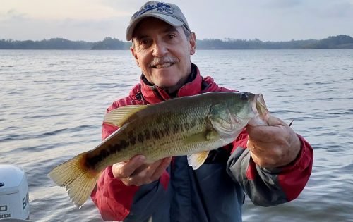 Desmistificando a Pesca de Black&nbsp;basses!